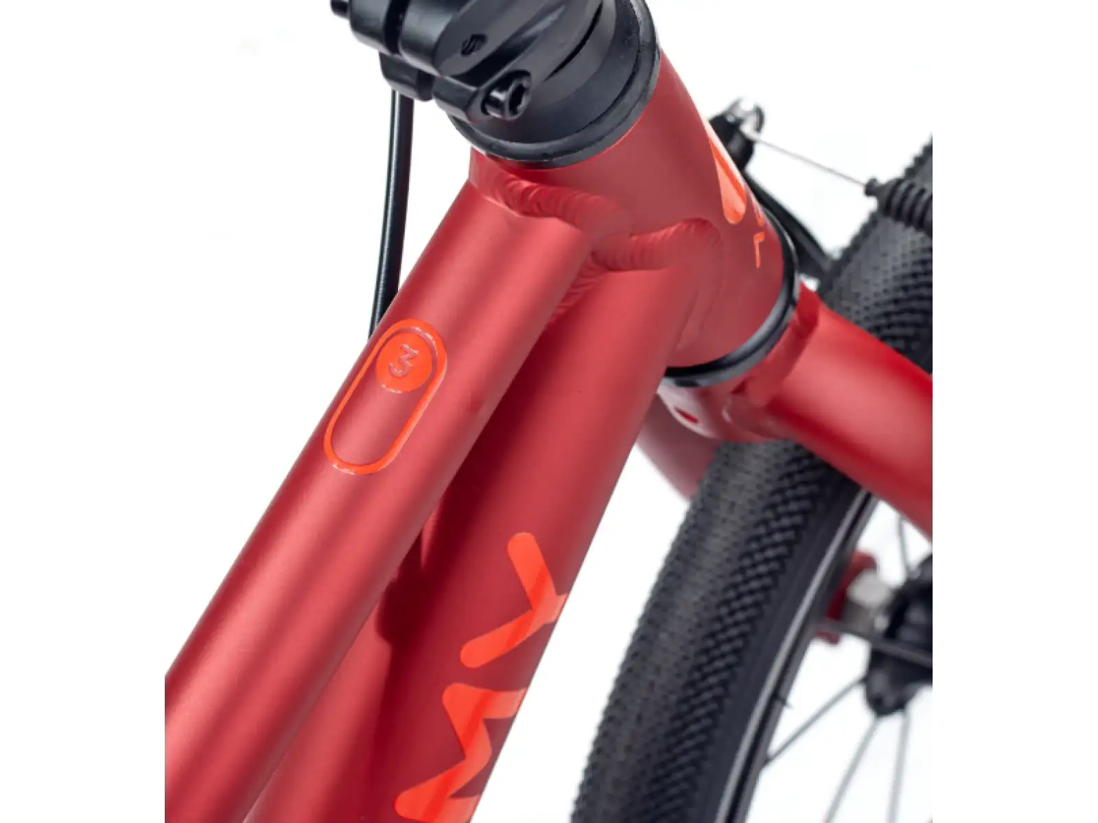 Academy Grade 3 Belt kids bike 16" red