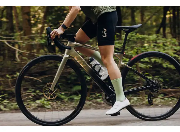 Liv Avail Advanced E+ Elite 2 road e-bike Golden Haze