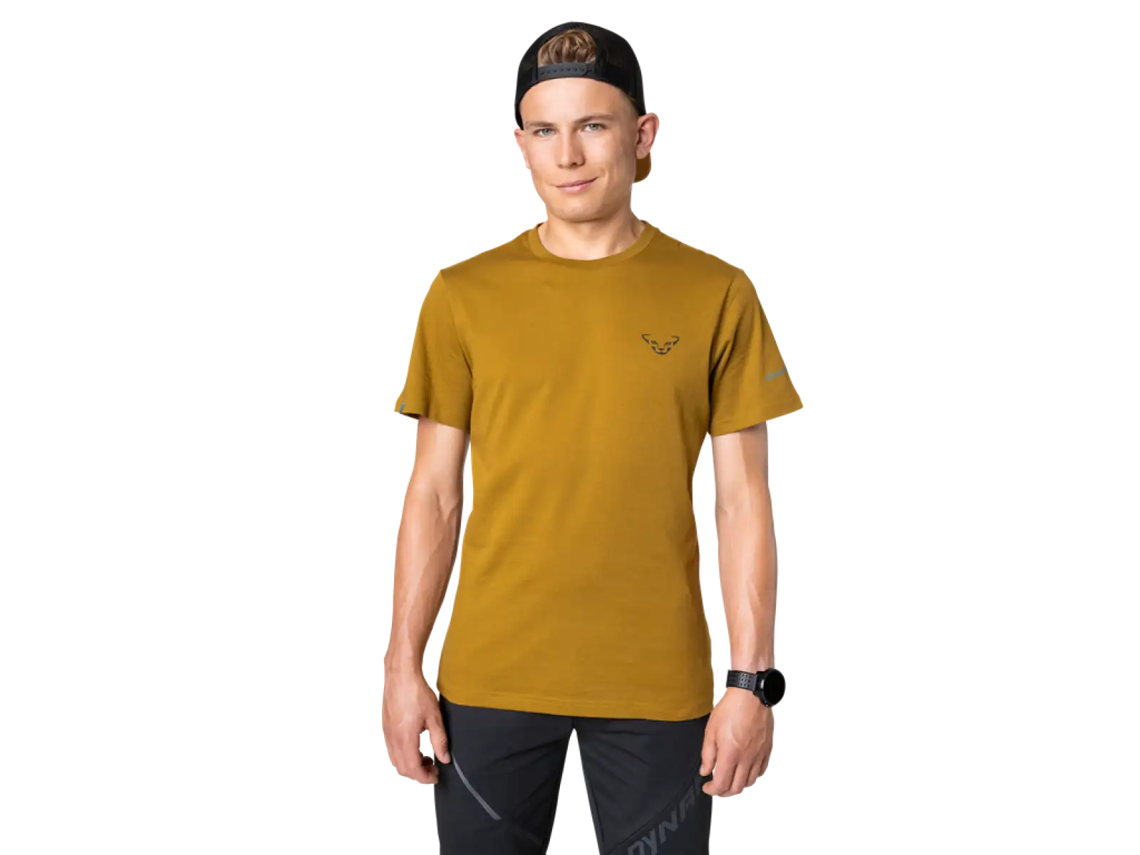 Dynafit 24/7 Graphic men's T-shirt Relic/Striped Elevation