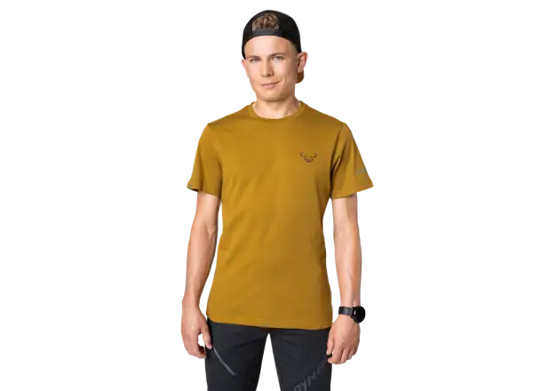 Dynafit 24/7 Graphic men's T-shirt Relic/Striped Elevation