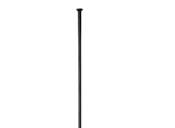 DT Swiss Champion Straightpull 218 mm