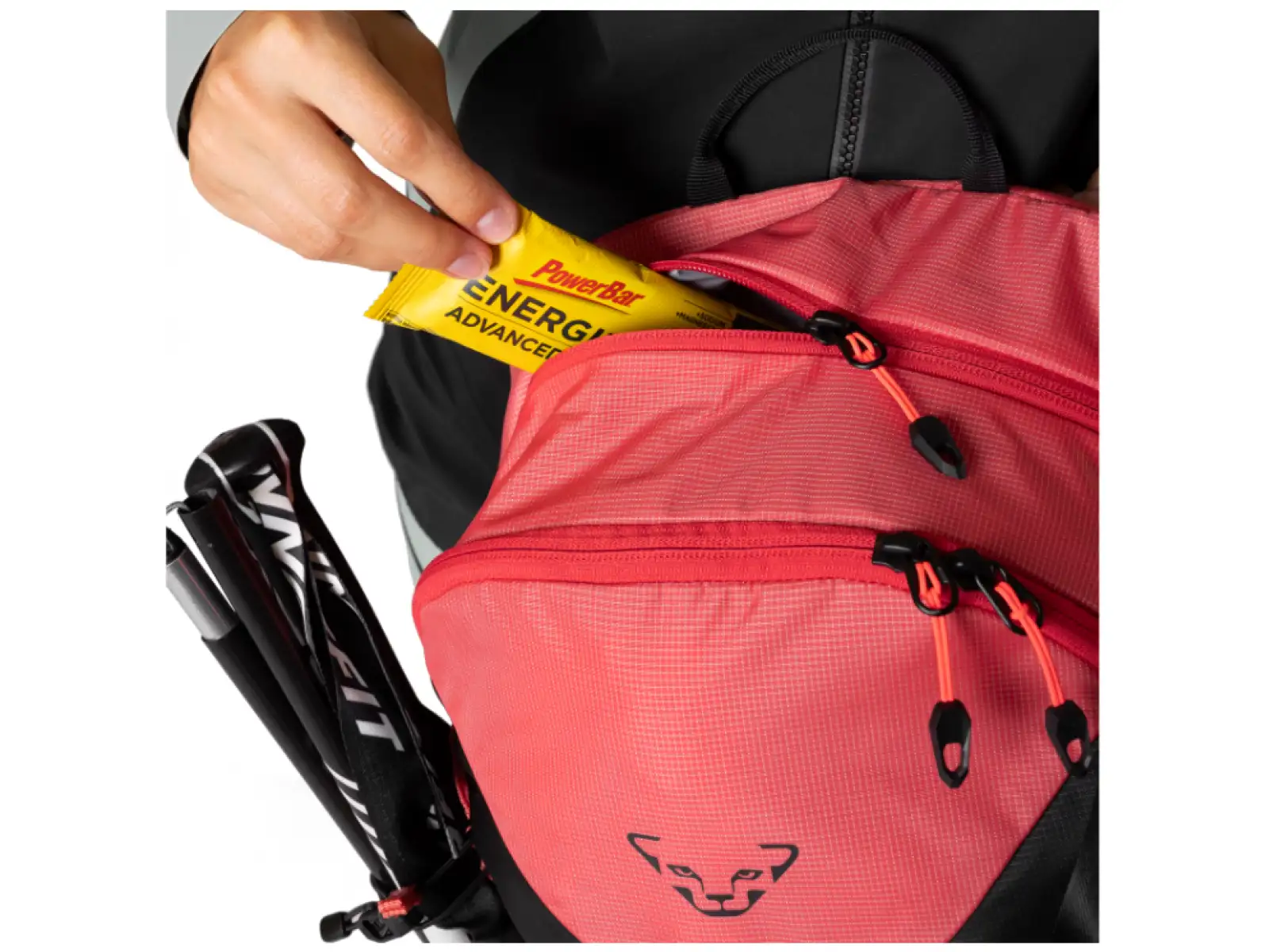 Dynafit Transalper 16 W backpack Cabana/Black Out