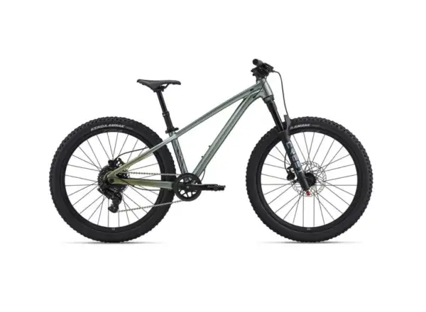 Liv STP 24 children's mountain bike Alpine Green