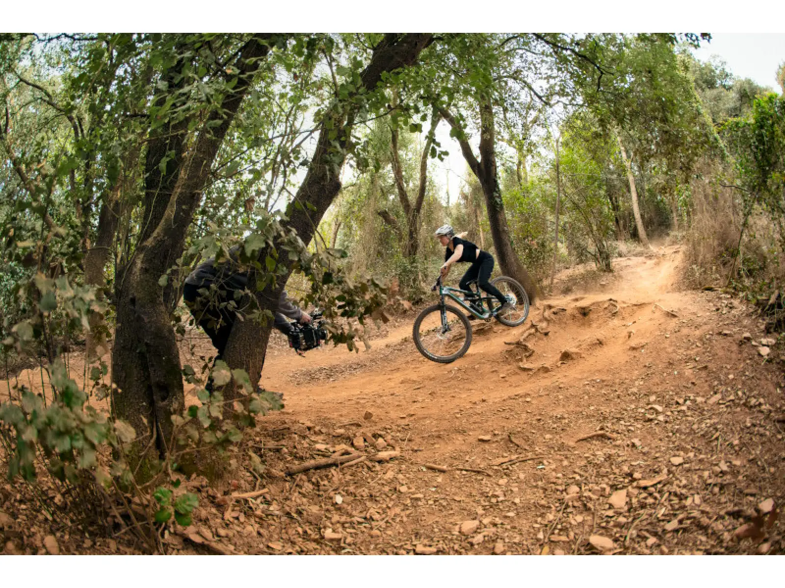Cannondale Habit Carbon 2 mountain bike Quicksand