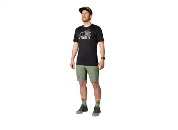 Dynafit Transalper Graphic men's T-shirt Blueberry
