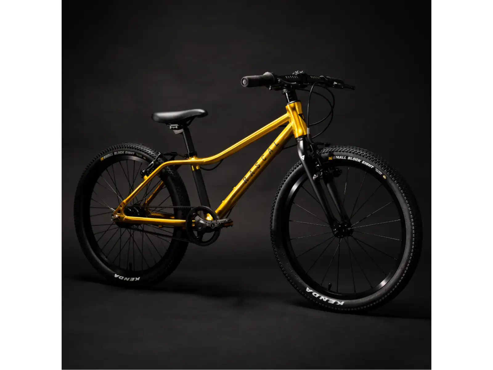 Rascal 20 children's bike Gold