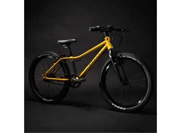 Rascal 20 children's bike Gold