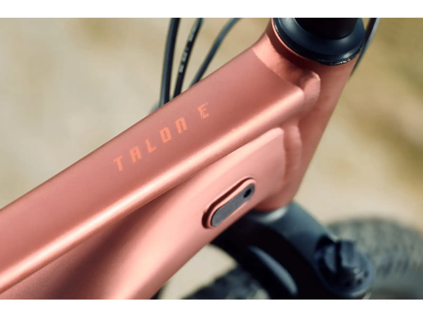 Giant Talon E+ Junior 24 kids e-bike Terracotta