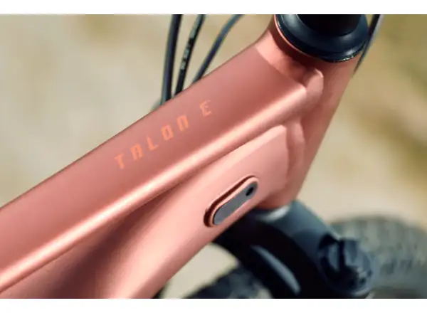 Giant Talon E+ Junior 24 kids e-bike Terracotta