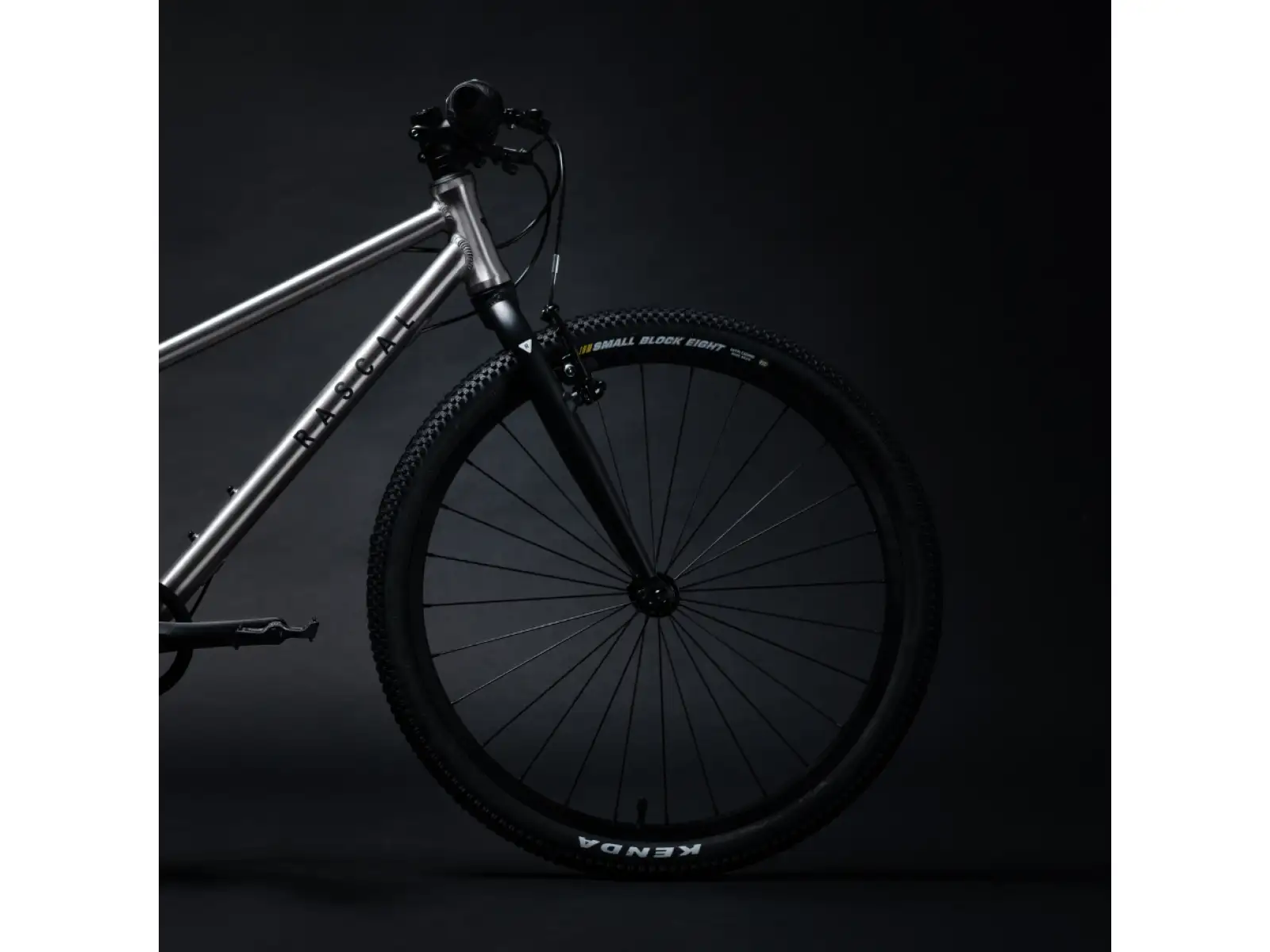 Rascal 24 7 sp. Shimano Nexus kids bike Titanium