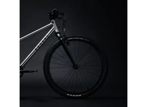 Rascal 24 7 sp. Shimano Nexus kids bike Titanium