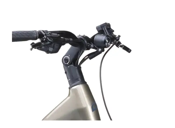 Crussis e-Country AX 8.12-M2(800) city electric bike
