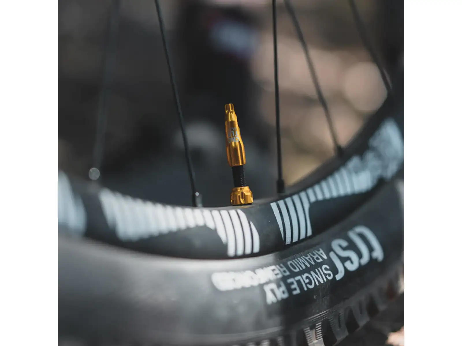 Lezyne CNC TLR tubeless valves 44 mm silver
