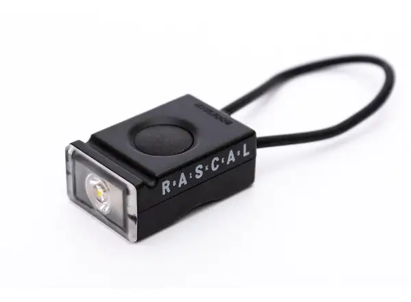 Rascal Bookman set of flashlights