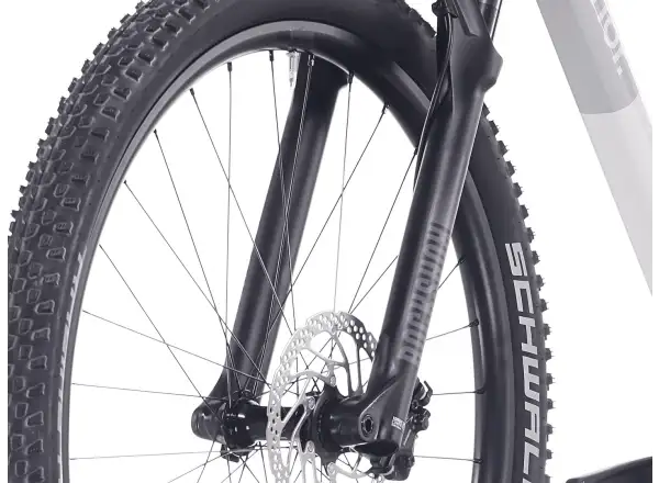 Superior XP 6.2 mountain bike Gloss Grey