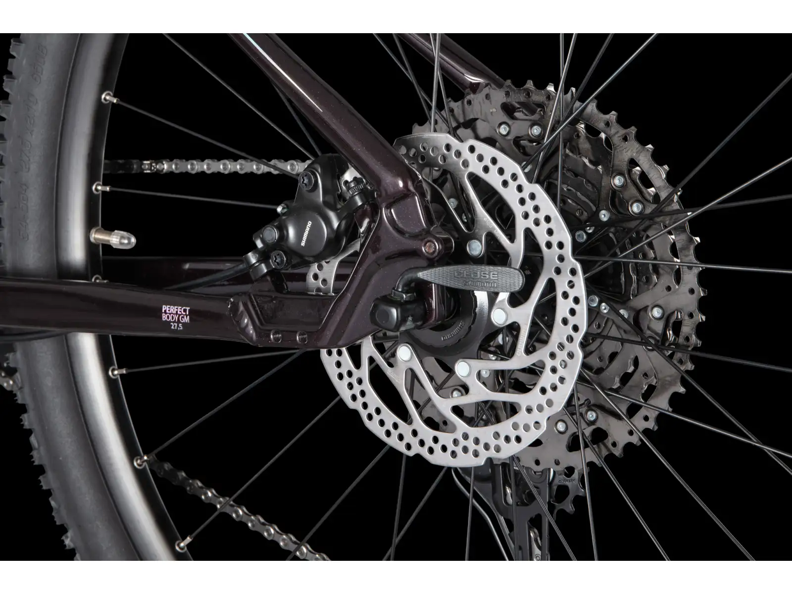 4Ever Frontbee Lady 27.5" women's mountain bike Dark wine/silver