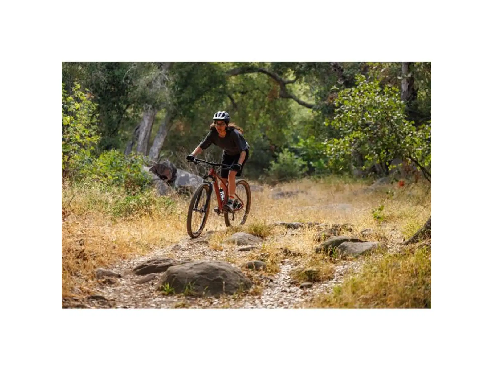 Giant Tempt 2 XS mountain bike Mars Dust
