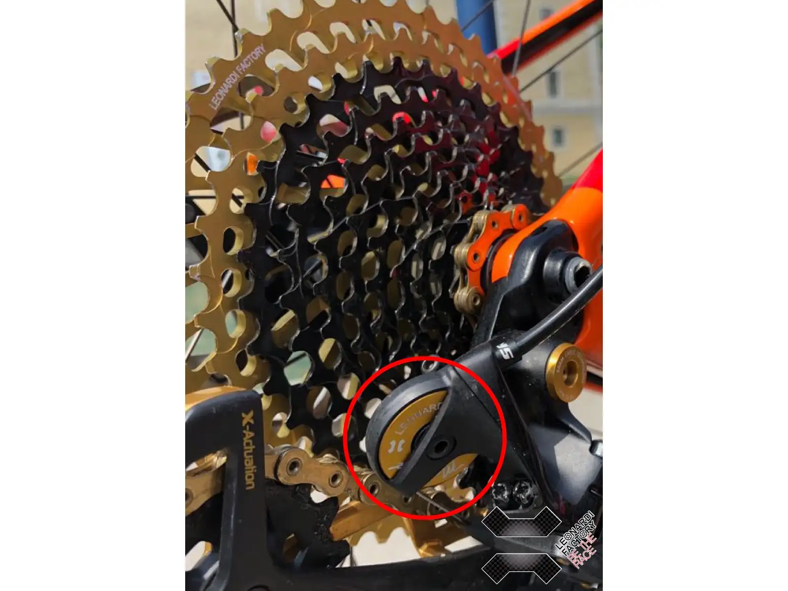 Leonardi Factory Max Speed pulley for Sram derailleurs
