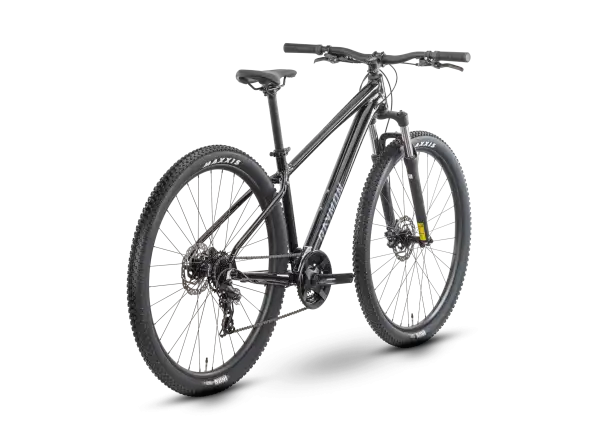 Raymon Nayta 29" mountain bike Black/Iredesciant Black