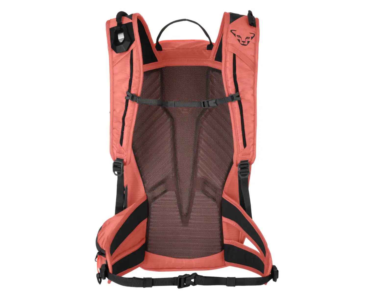 Dynafit Speed women's backpack 22 l Cabana