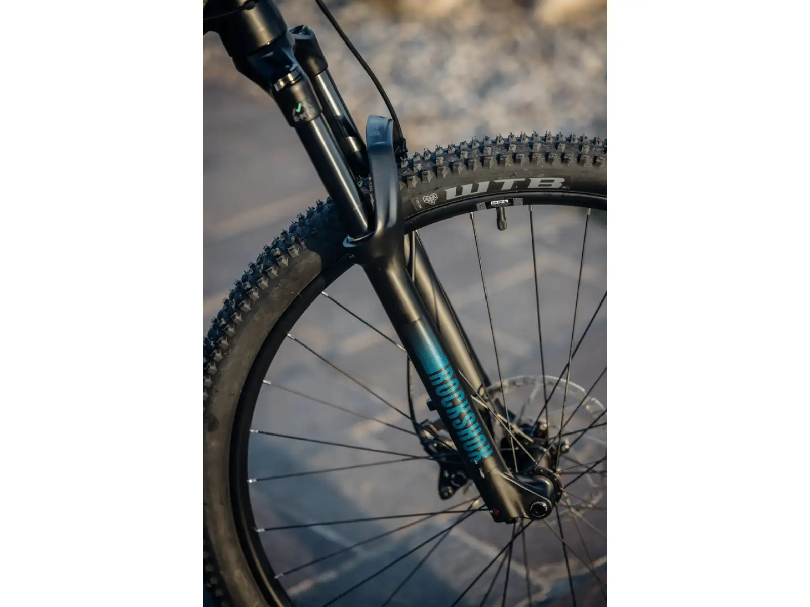 Rock Machine Torrent E90-29 Easy Entry mountain e-bike Petrol SAMPLE
