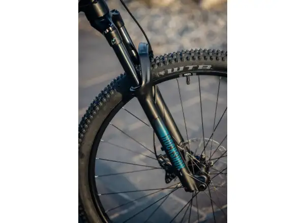 Rock Machine Torrent E90-29 Easy Entry mountain e-bike Petrol SAMPLE