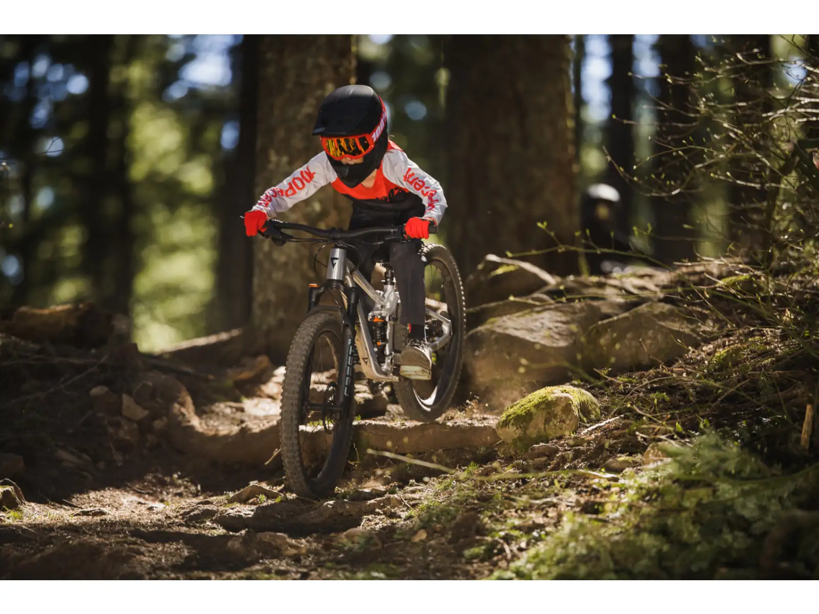 Giant Faith 24 children's full suspension bike Raw Aluminium