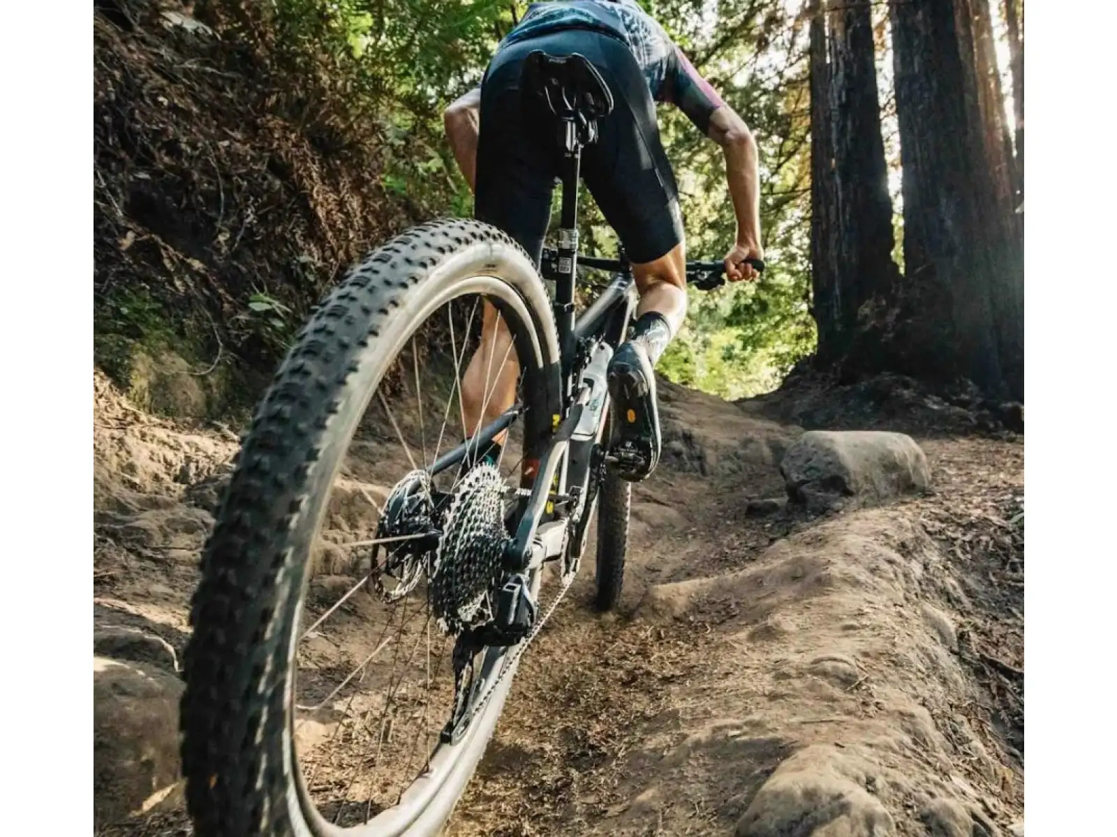Santa Cruz Blur 4 CC XC 29" MTB frame set
