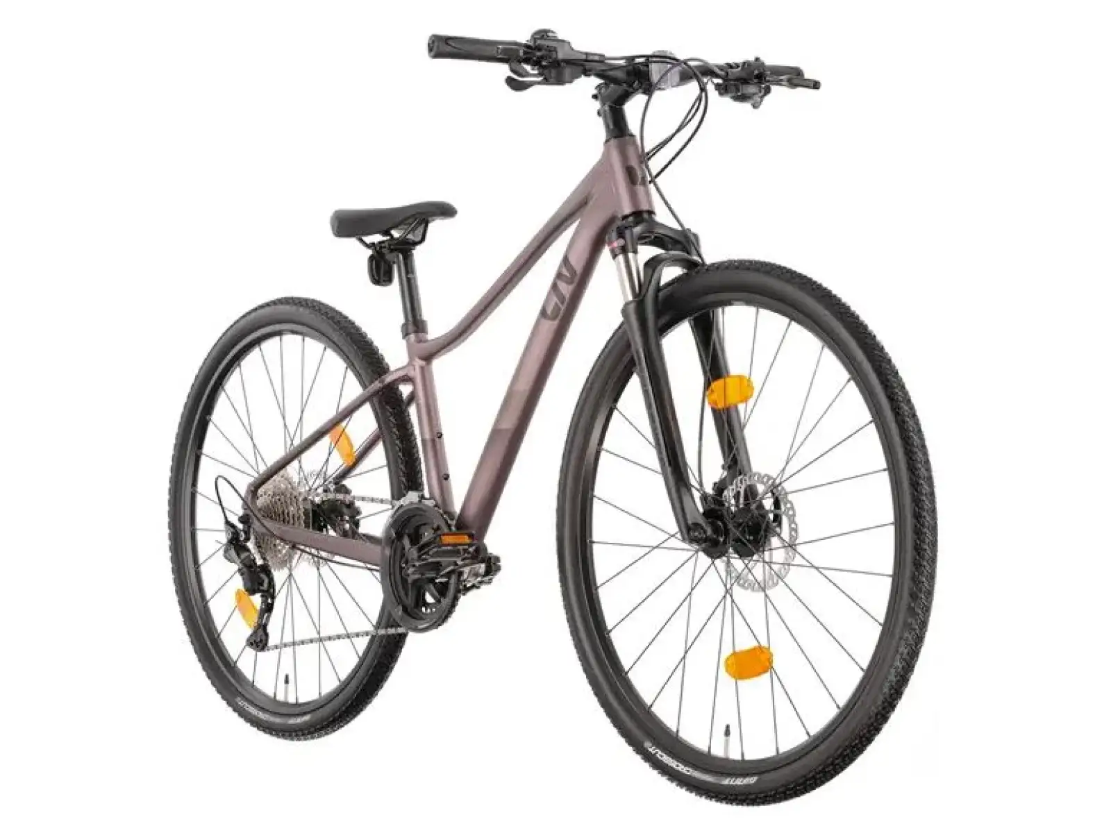 Liv Rove 1 DD women's trekking bike Dark Eclipse