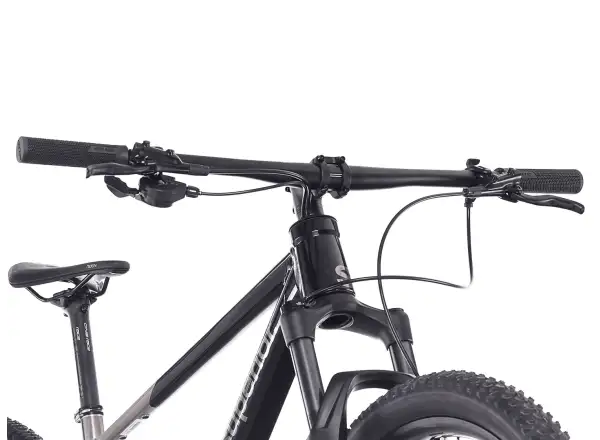 Superior XP 6.2 mountain bike Gloss Brush Alu/Black