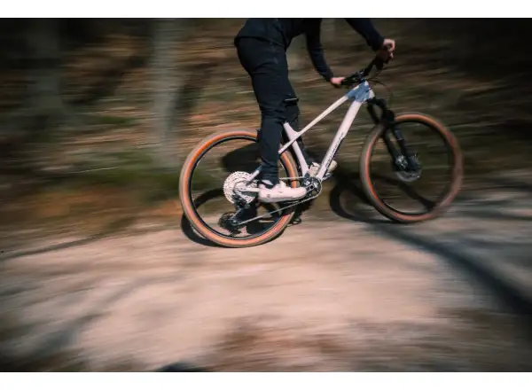 Rock Machine Blizz Cr 70 mountain bike Gloss Limerock Grey