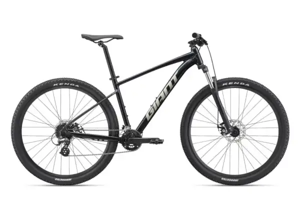 Giant Talon 29 4 mountain bike Mettalic black