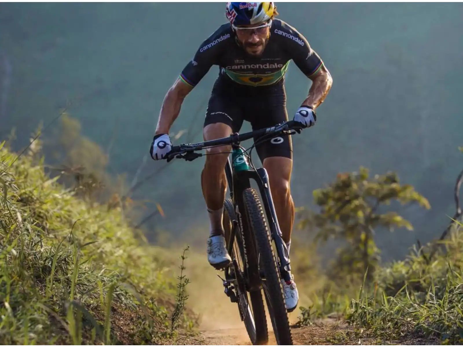 Cannondale Scalpel Carbon 4 mountain bike Jungle Green