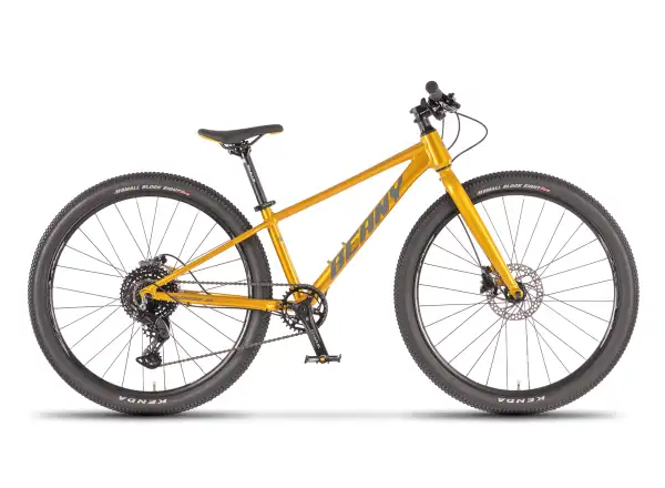 Beany Blaster XC 26 kids bike Gold