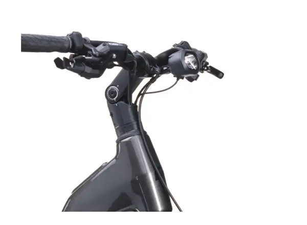 Crussis ONE-Country full AX 10.12-M2S(800) city e-bike