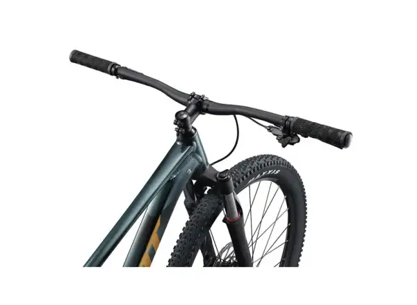 Giant Talon 29 2 mountain bike Asphalt Green