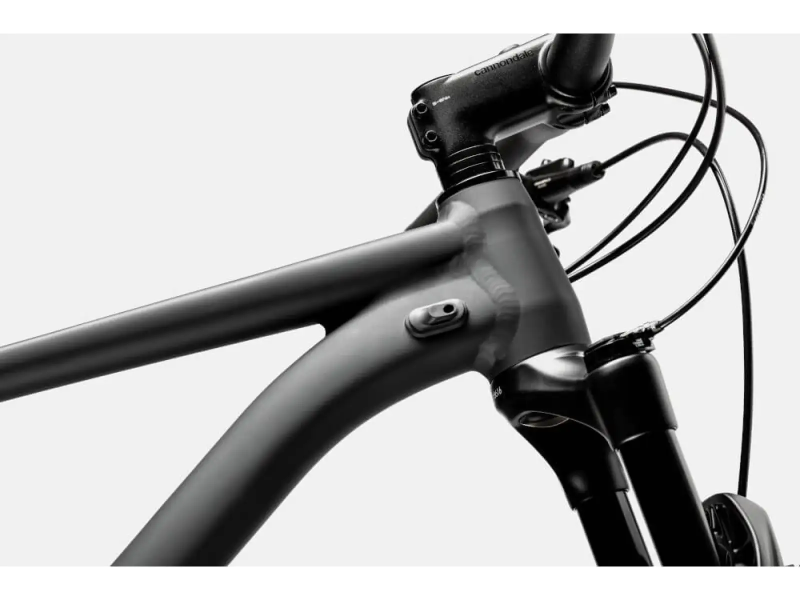 Cannondale Trail SL 4 29" mountain bike Gray
