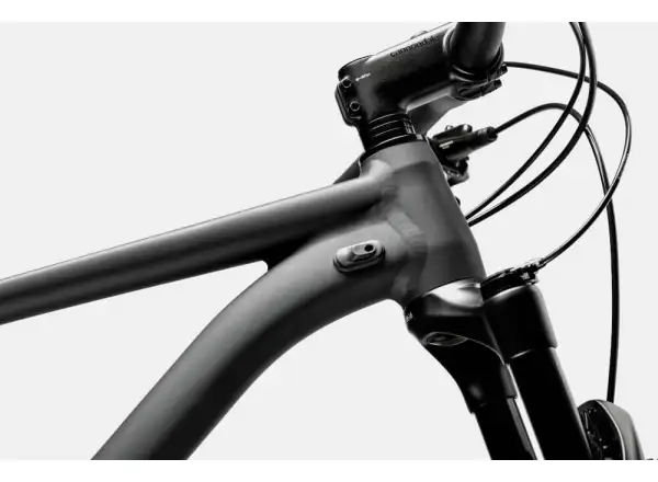 Cannondale Trail SL 4 29" mountain bike Gray
