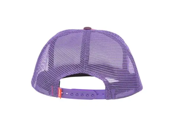 Salsa Landscape trucker hat purple