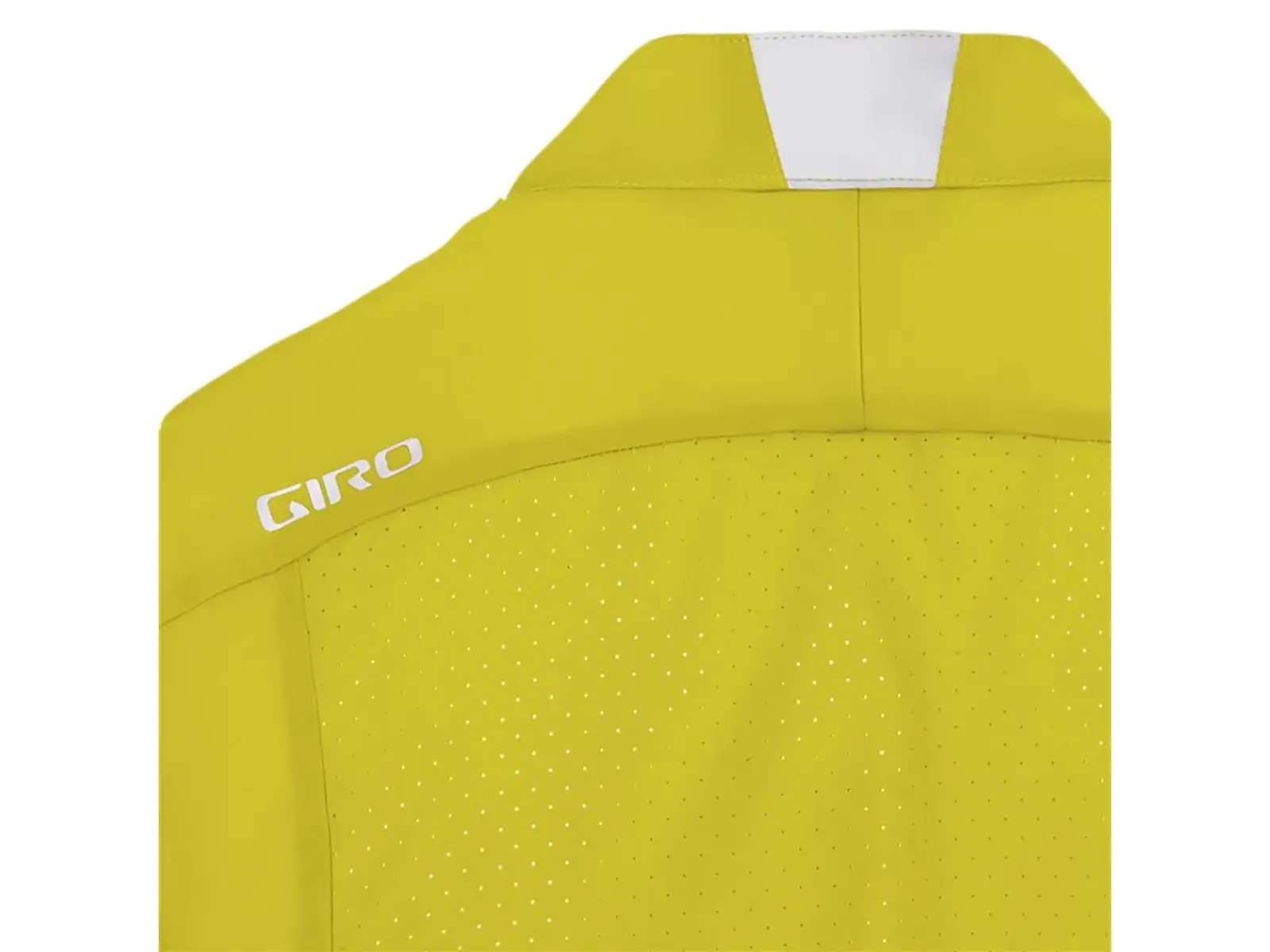 Giro Chrono Expert Wind men's jersey long sleeve Cascade Green