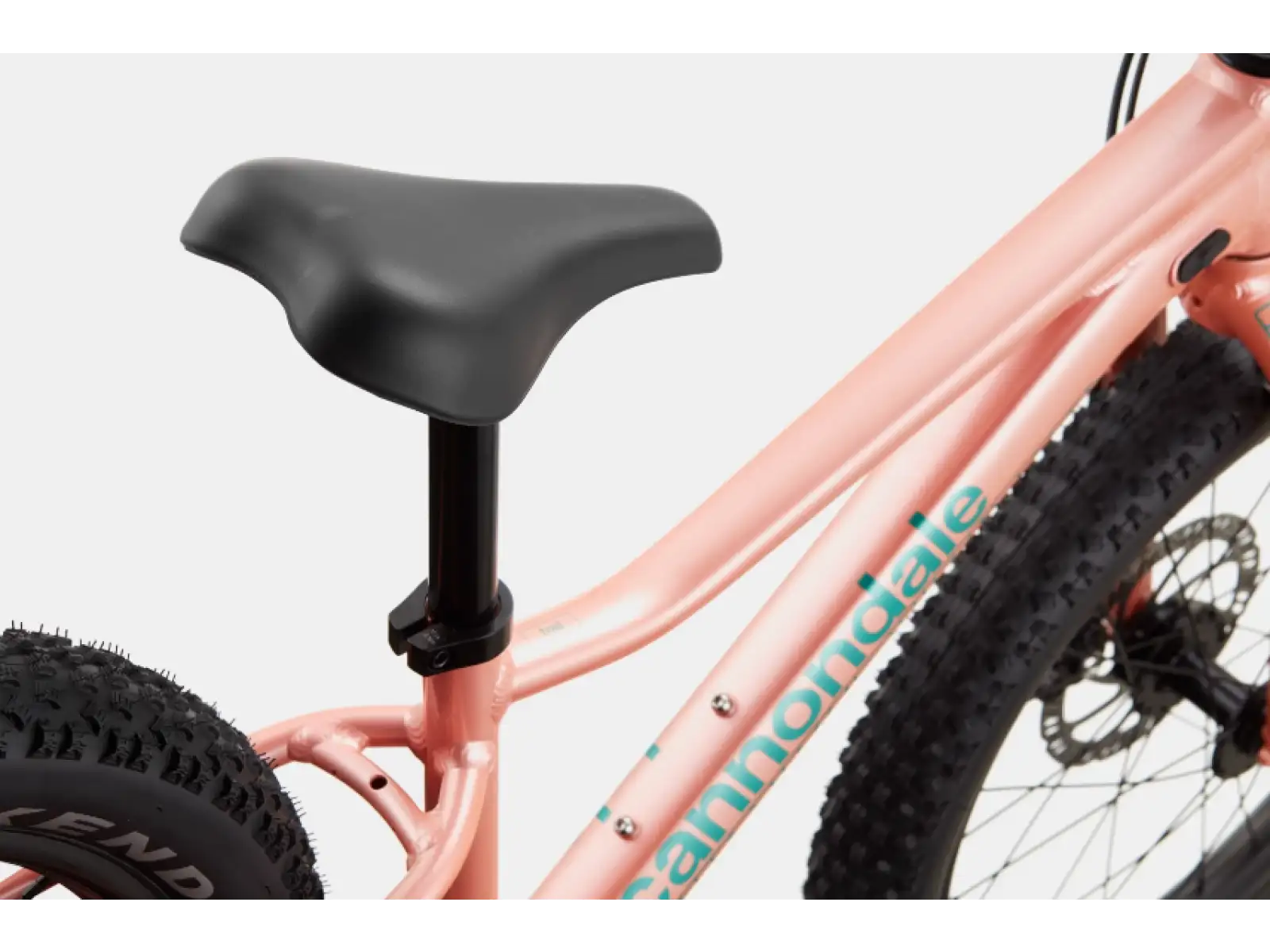 Cannondale Trail Plus 20 children's bike Salmon