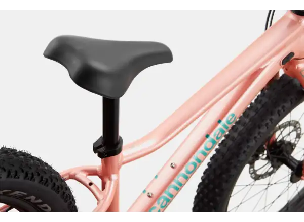 Cannondale Trail Plus 20 children's bike Salmon