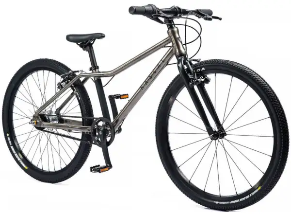 Rascal 24 Titan 5 sp. Sturmey Archer children's bike