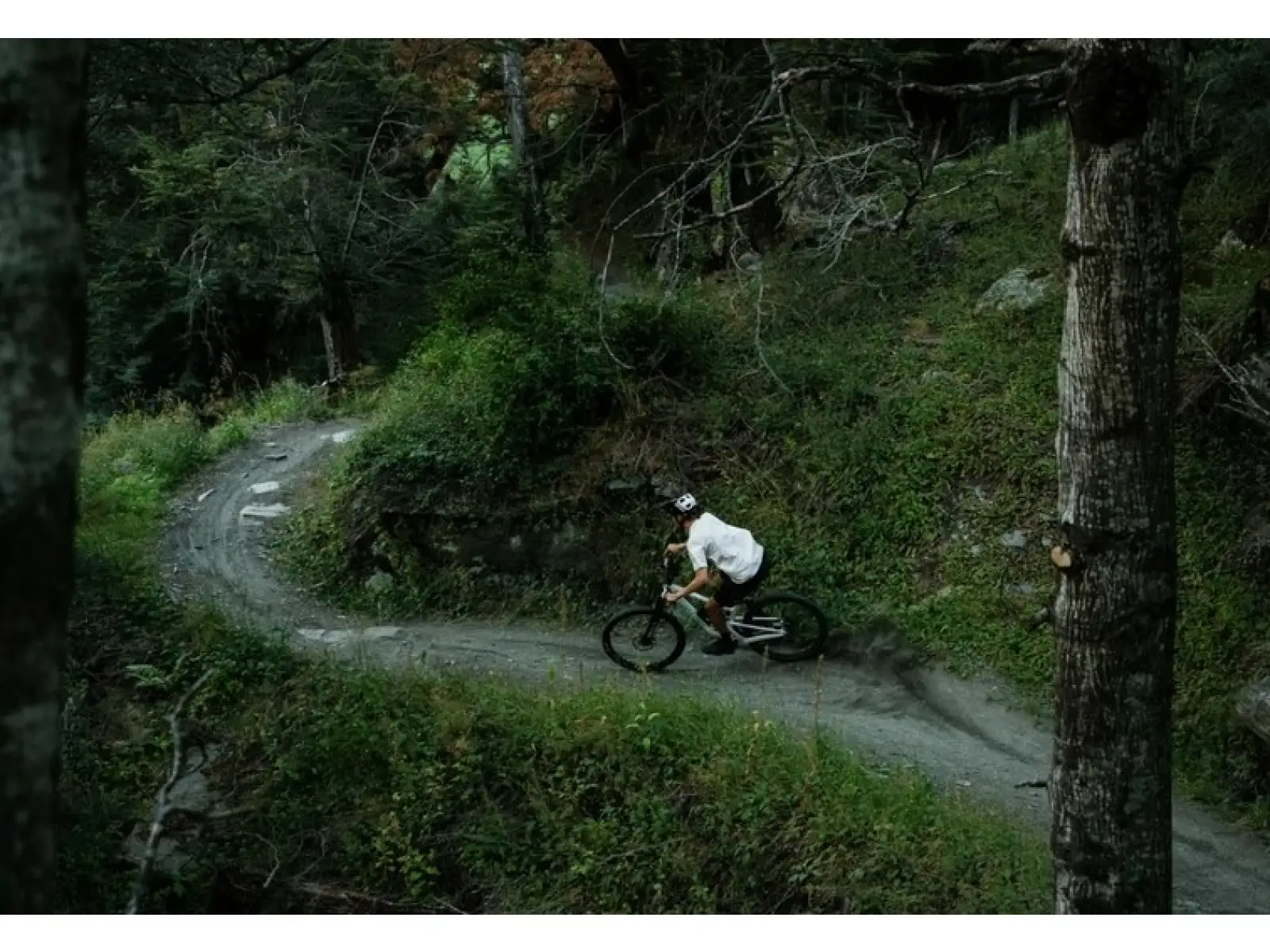 Santa Cruz Tallboy 5 C R mountain bike Gloss White