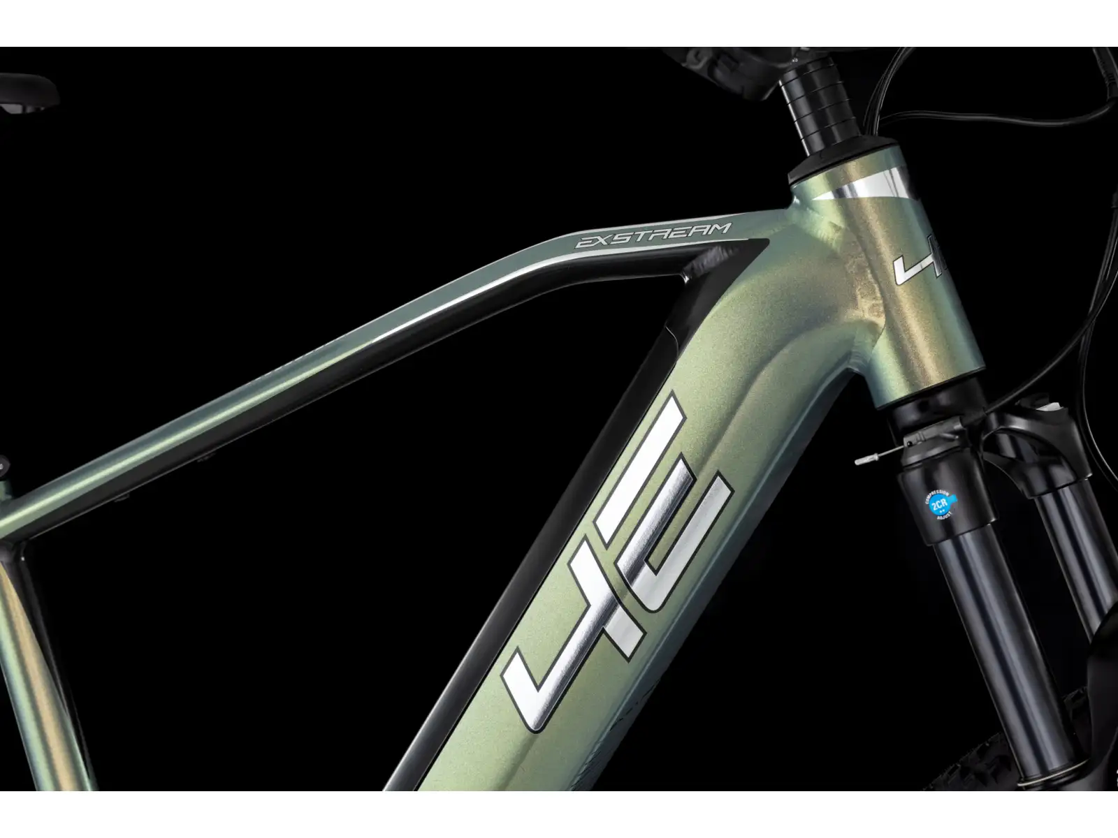 4EVER Exstream Team 820 mountain e-bike Snake green/hologram
