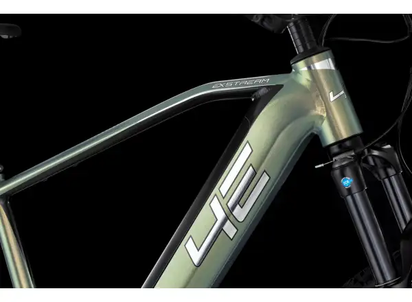 4EVER Exstream Team 820 mountain e-bike Snake green/hologram