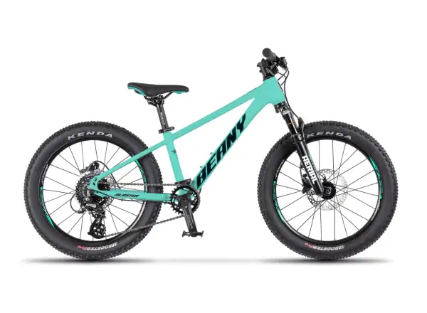 Beany Blaster 20 children's bike Mint