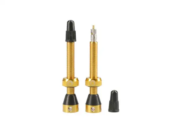 Tubolight valves 50 mm gold pair