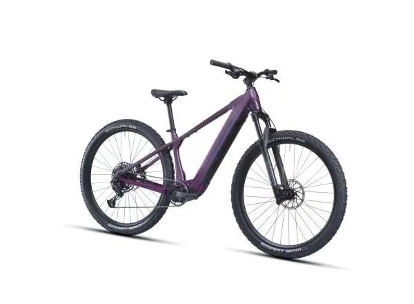 Crussis e-Fionna AX 9.12-M2S(800) mountain e-bike