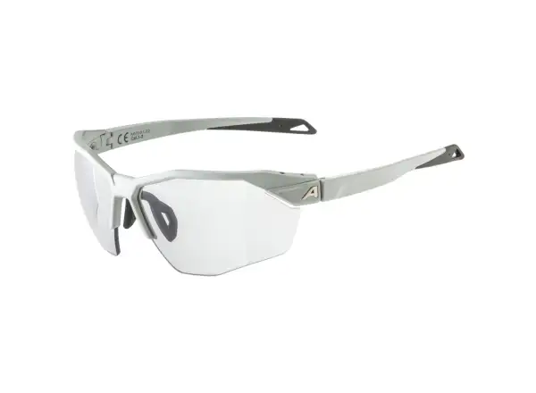 Alpina Twist Six S HR V glasses Smoke Grey Matt